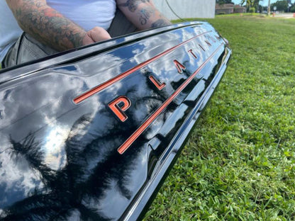 2017-2019 Ford SuperDuty Painted Tailgate Panel