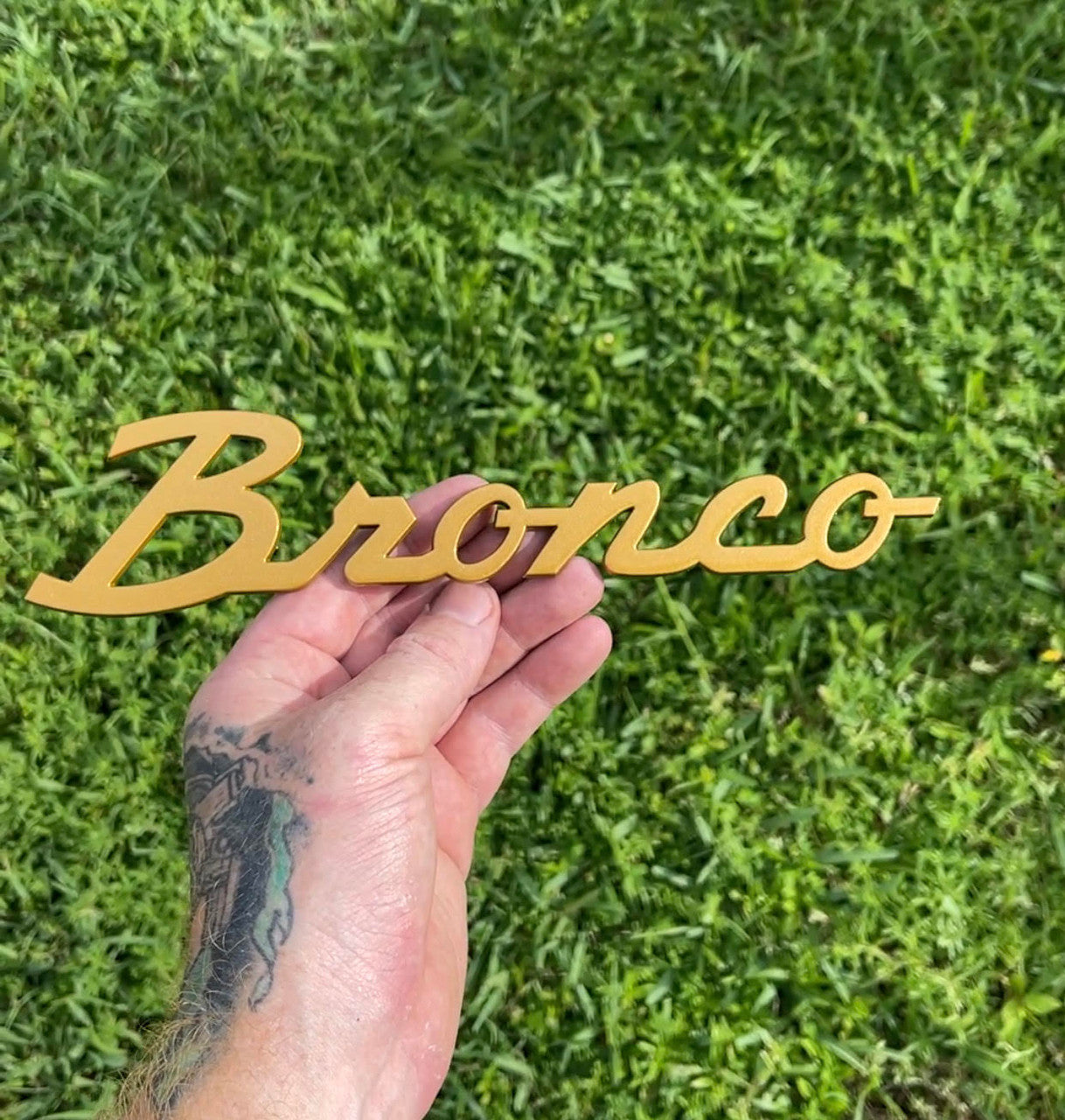 Ford Bronco Painted Script Emblems (sold as a pair)